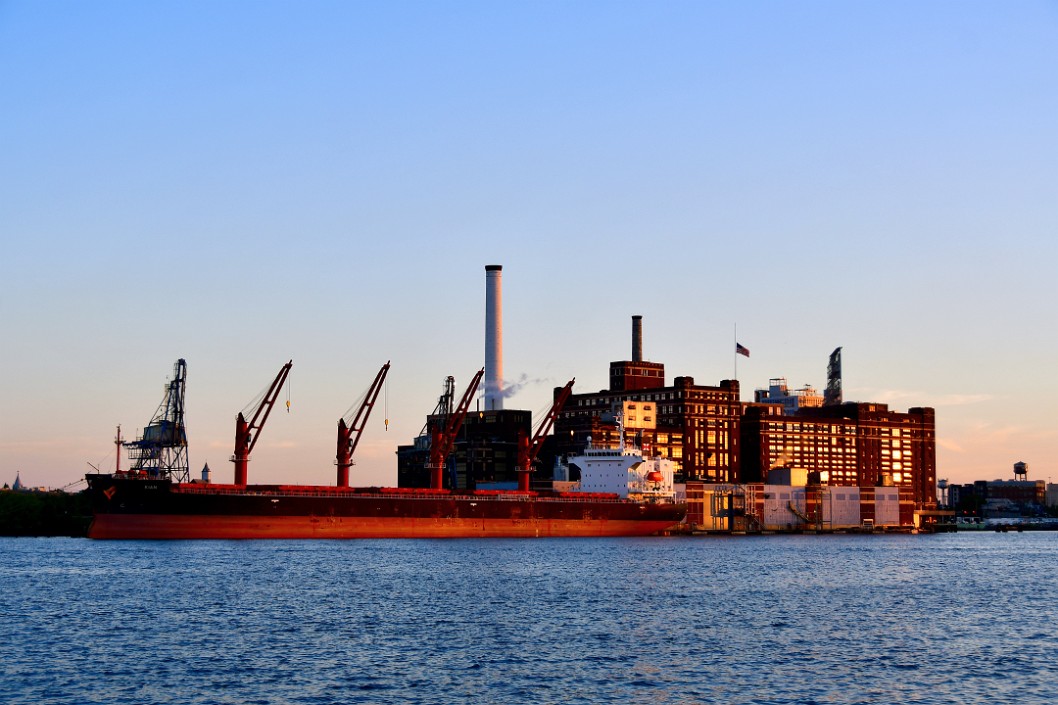 Cargo Ship and Plant at Golden Hour