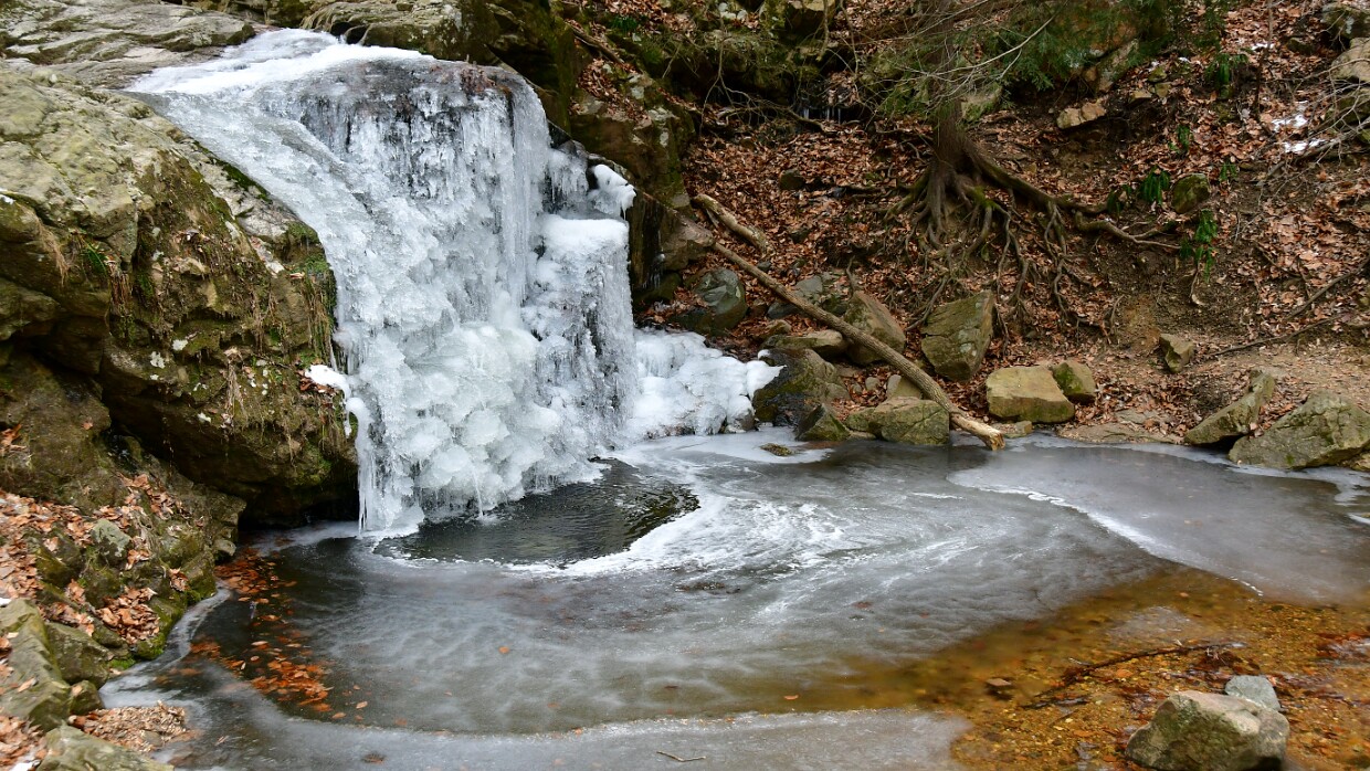 Week 2- Hello From...