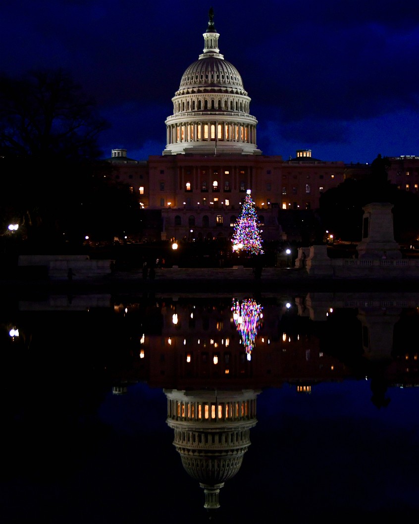 Capitol and Capitol Christmas Tree Reflected