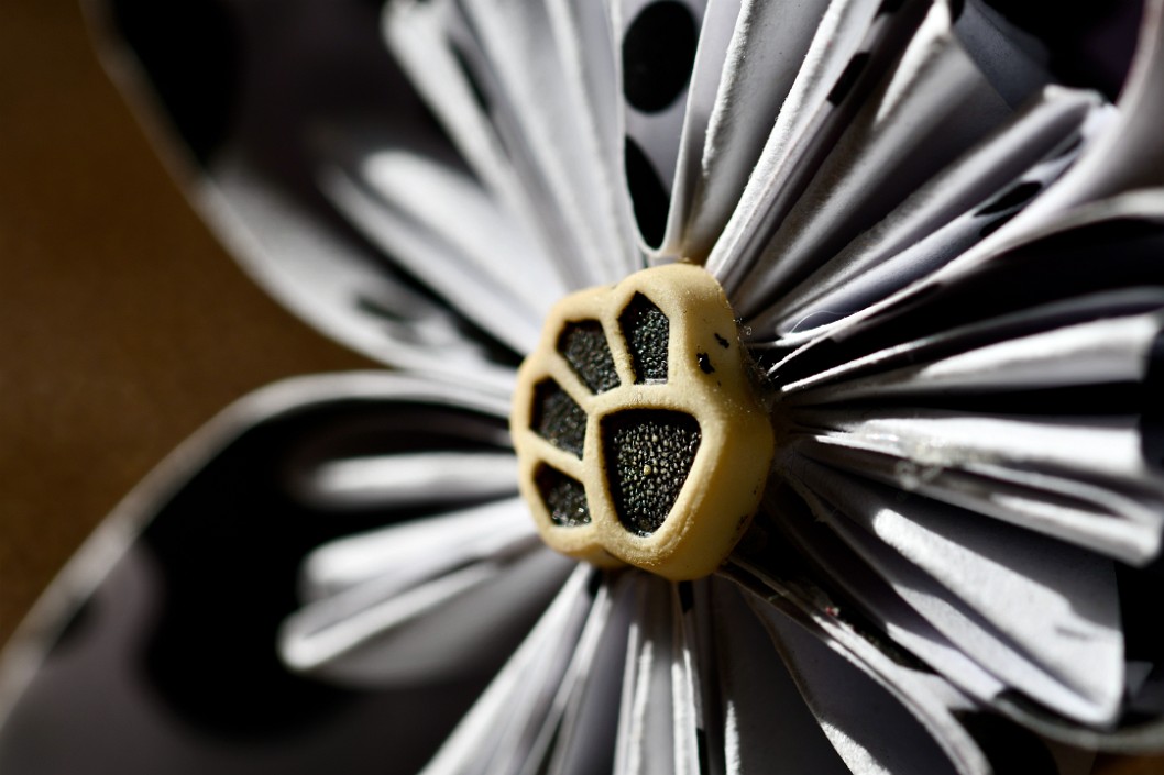 Dog Paw Center of a Paper Flower