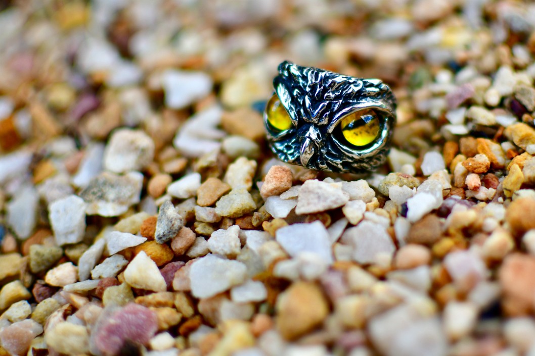 Owl Ring on Rocks