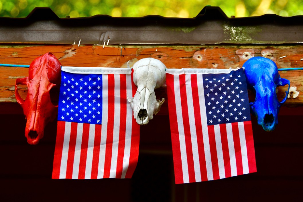 Patriotic Skulls