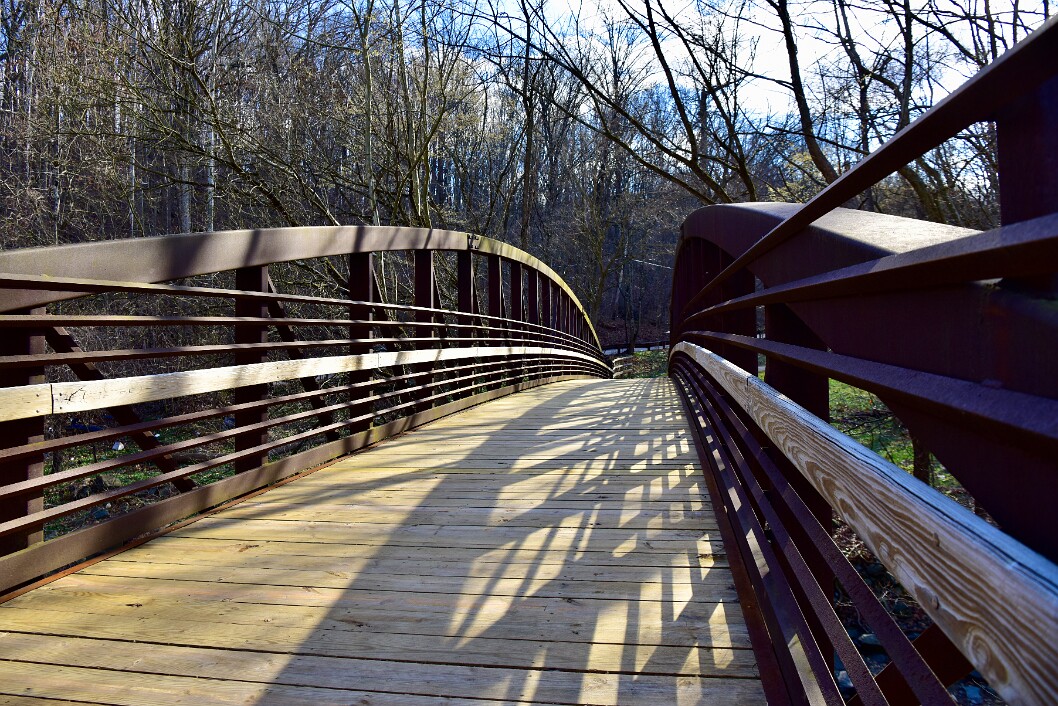 Bridge and Shadows to Whats Next
