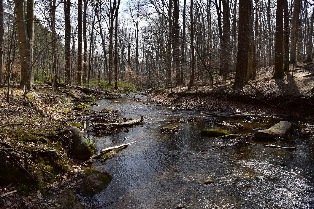 Water Flowing in Early Springtime