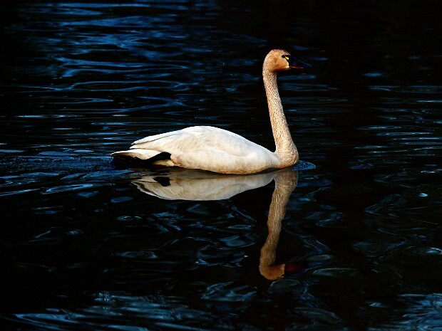 Week 16- Under-Over Exposed