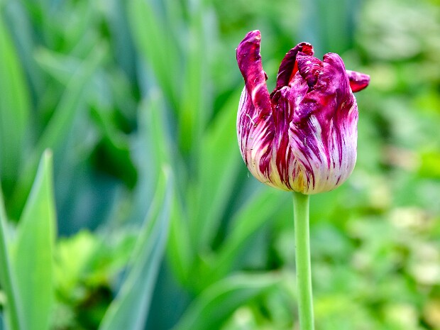 Week 18- Negative Space