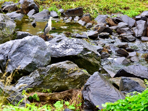 Week 23- Use The Wrong Lens