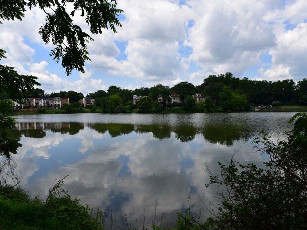 Week 27- Frame Within A Frame