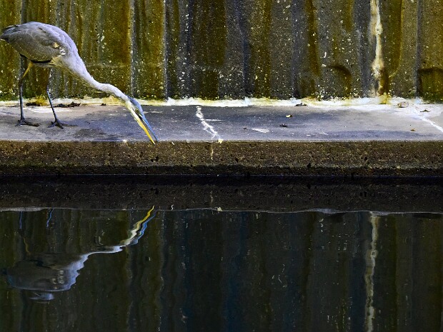 Week 35- Reflections