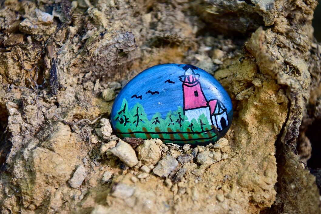 Lighthouse Rock in Fallen Tree