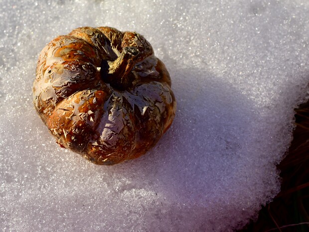 Week 4- Something Old