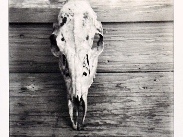 Week 46- Black And White Minimalism