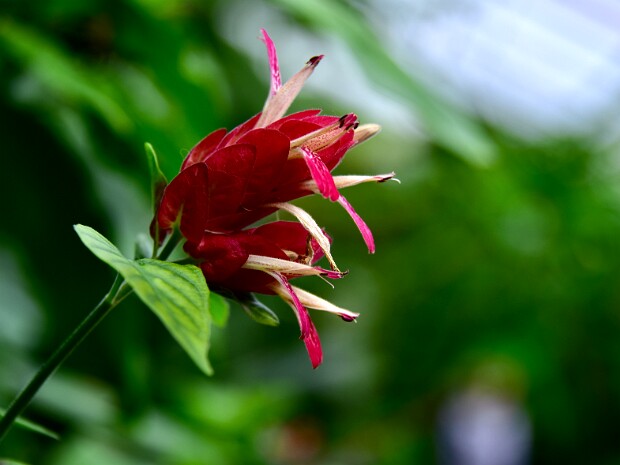 Week 49- Shoot From The Hip