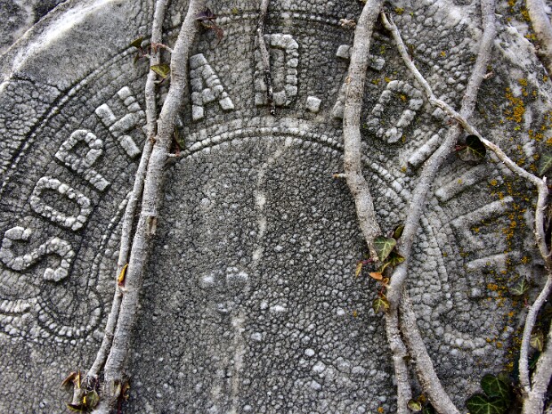 Week 51- Fill The Frame