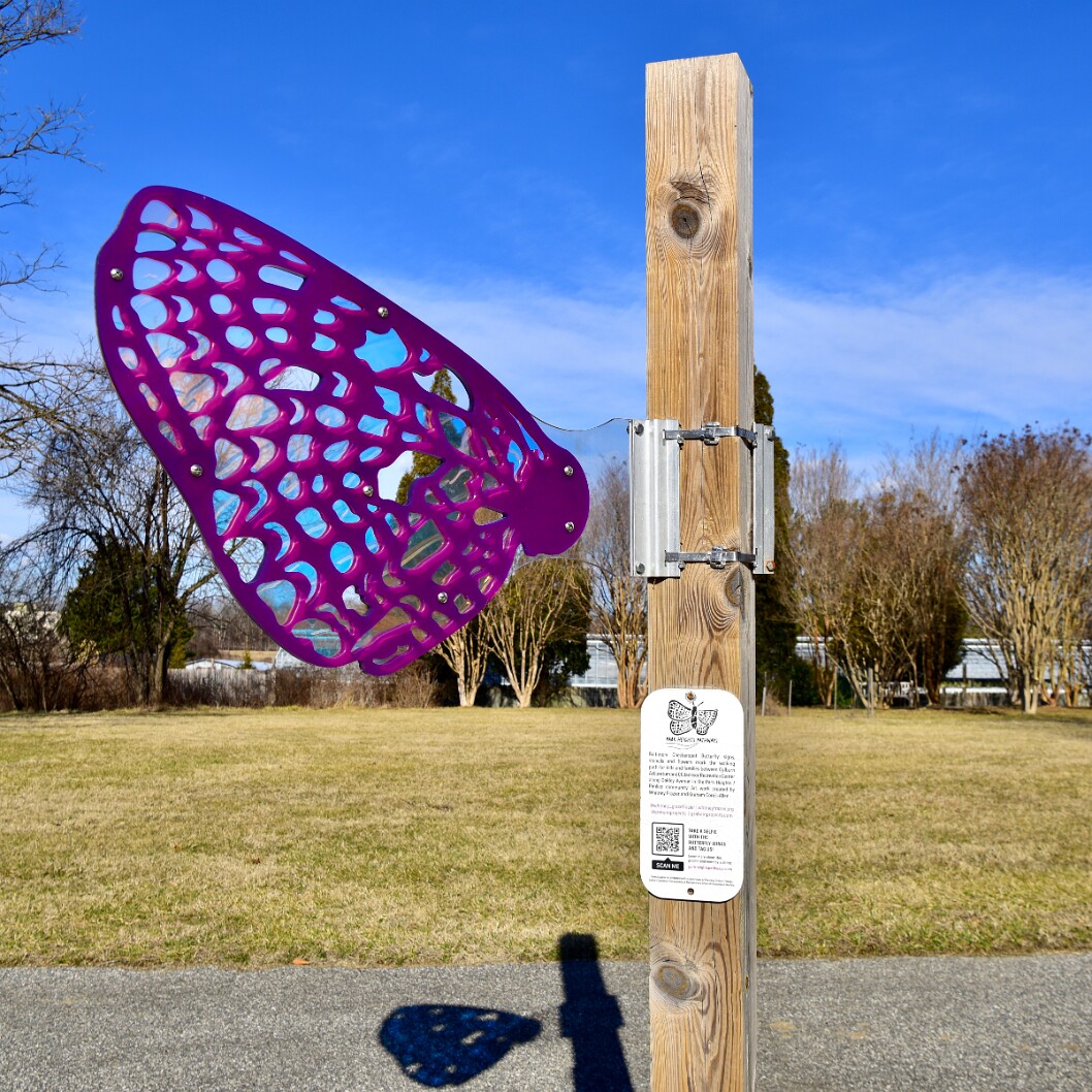 One Missing Gossamer Wing