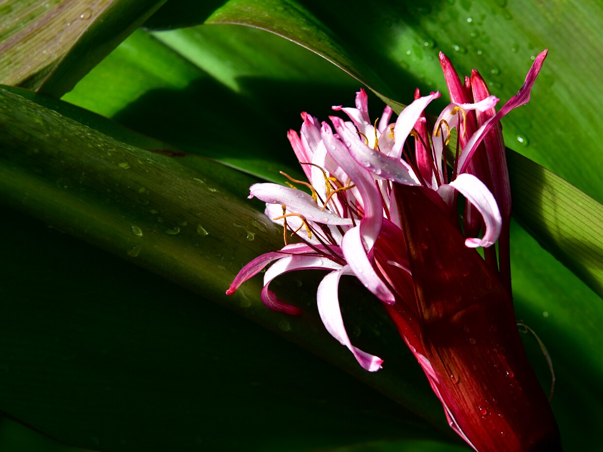 Week 2- Rule of Thirds