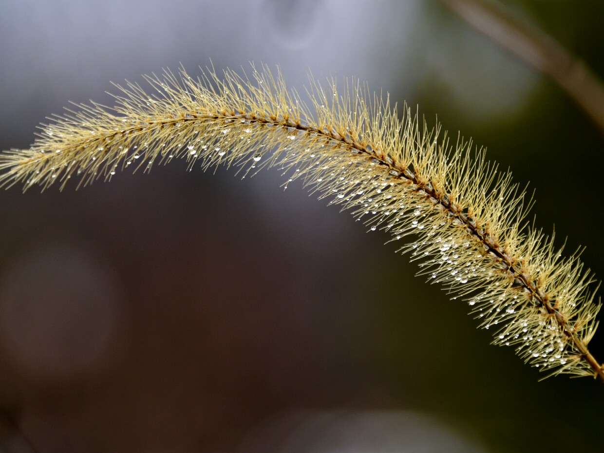 Week 8- Shallow Depth Of Field