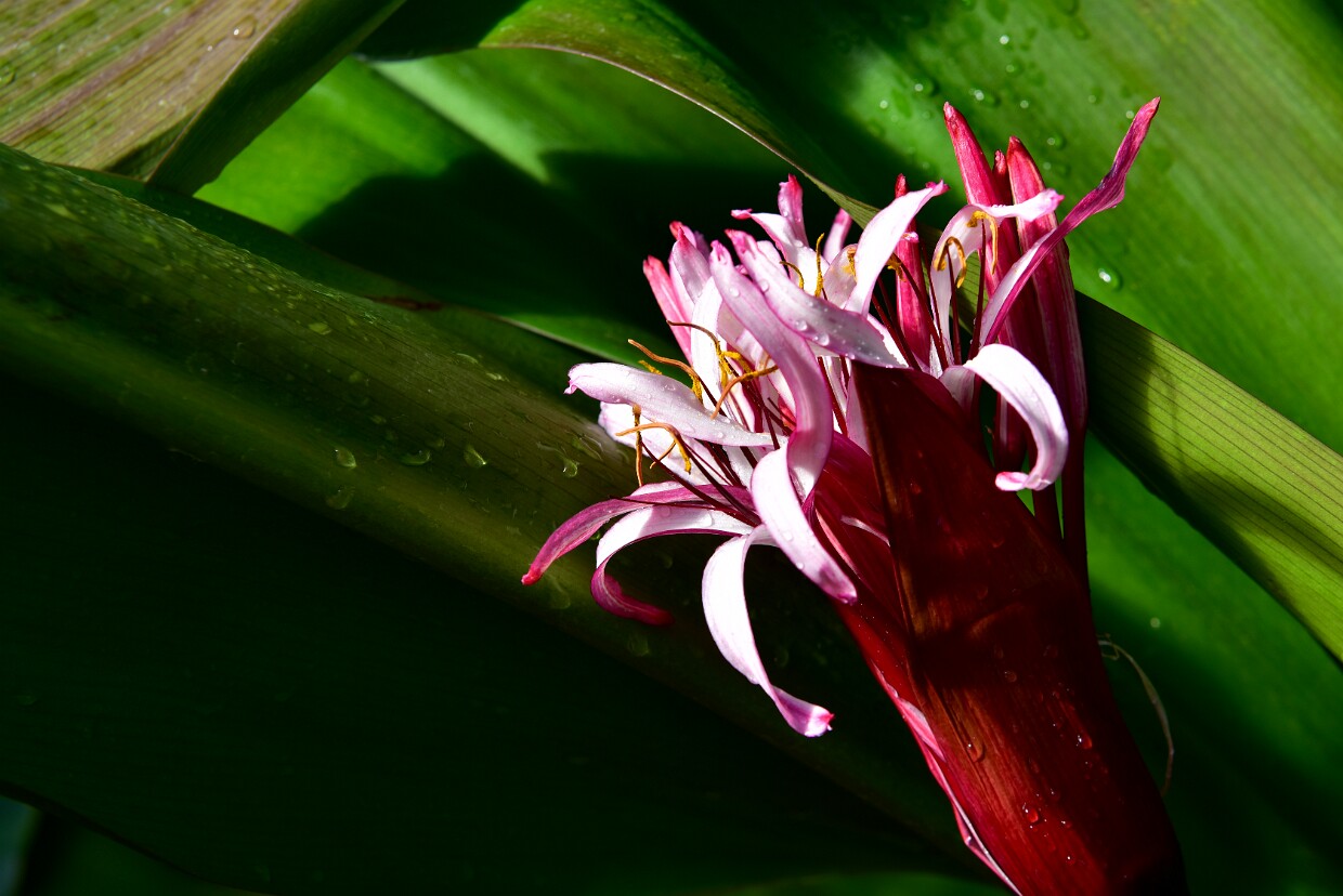 Week 2- Rule of Thirds