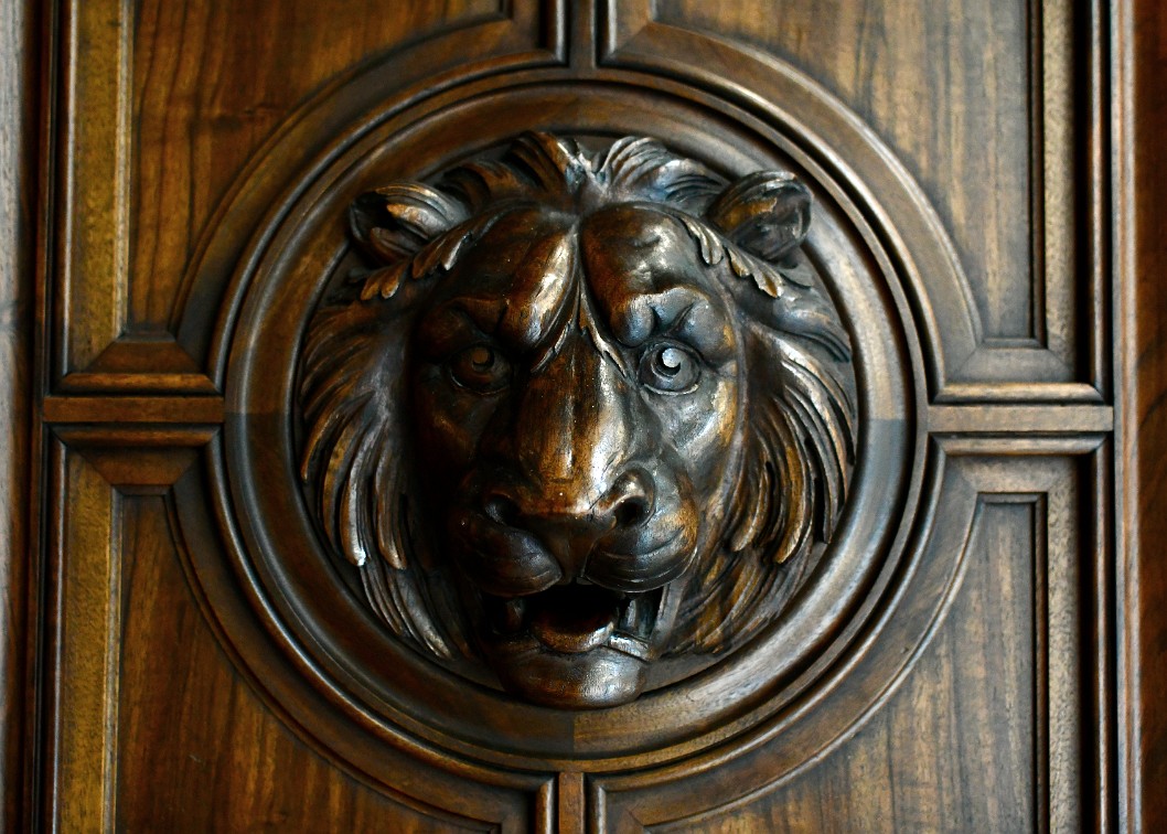 Lion Door Stare