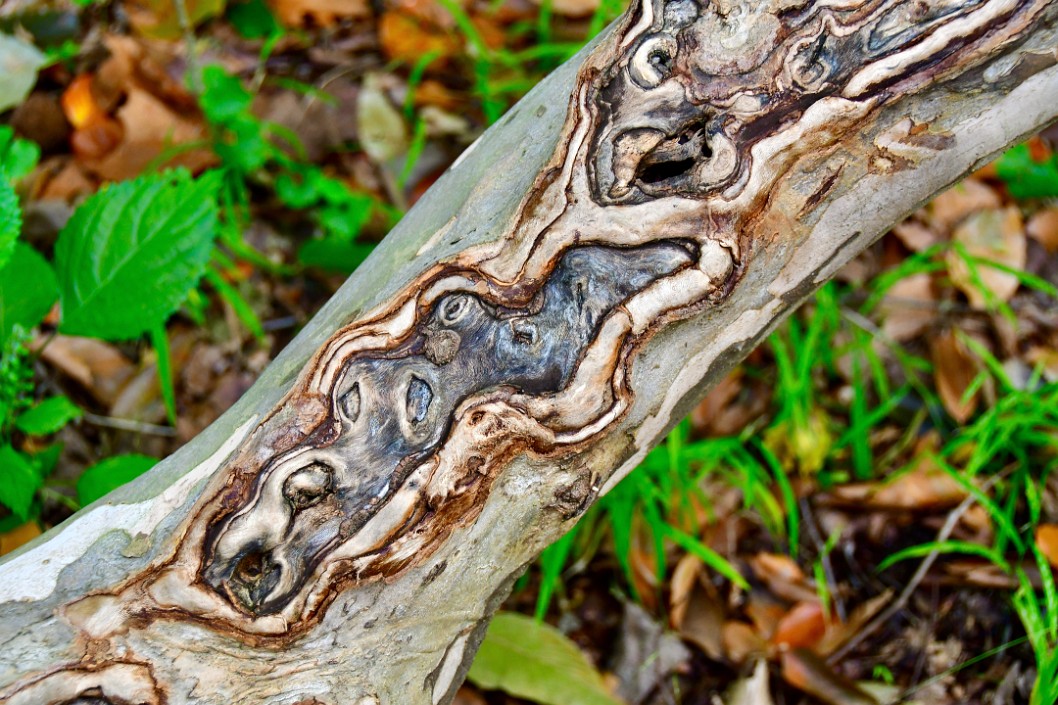 Open Flow in Wood