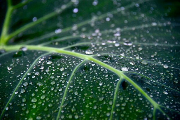 52 Frames Challenges