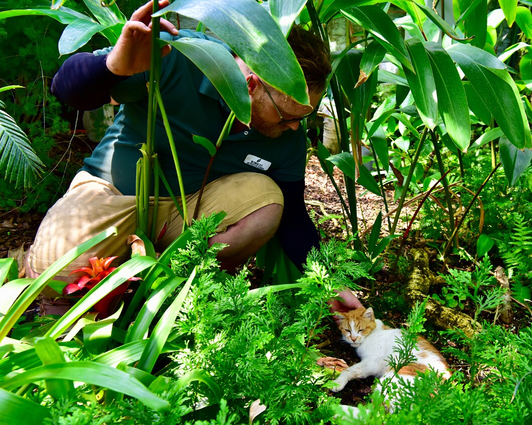 David Saying Goodbye to Mango 1