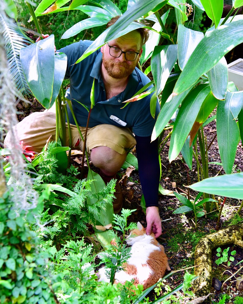 David Saying Goodbye to Mango 2