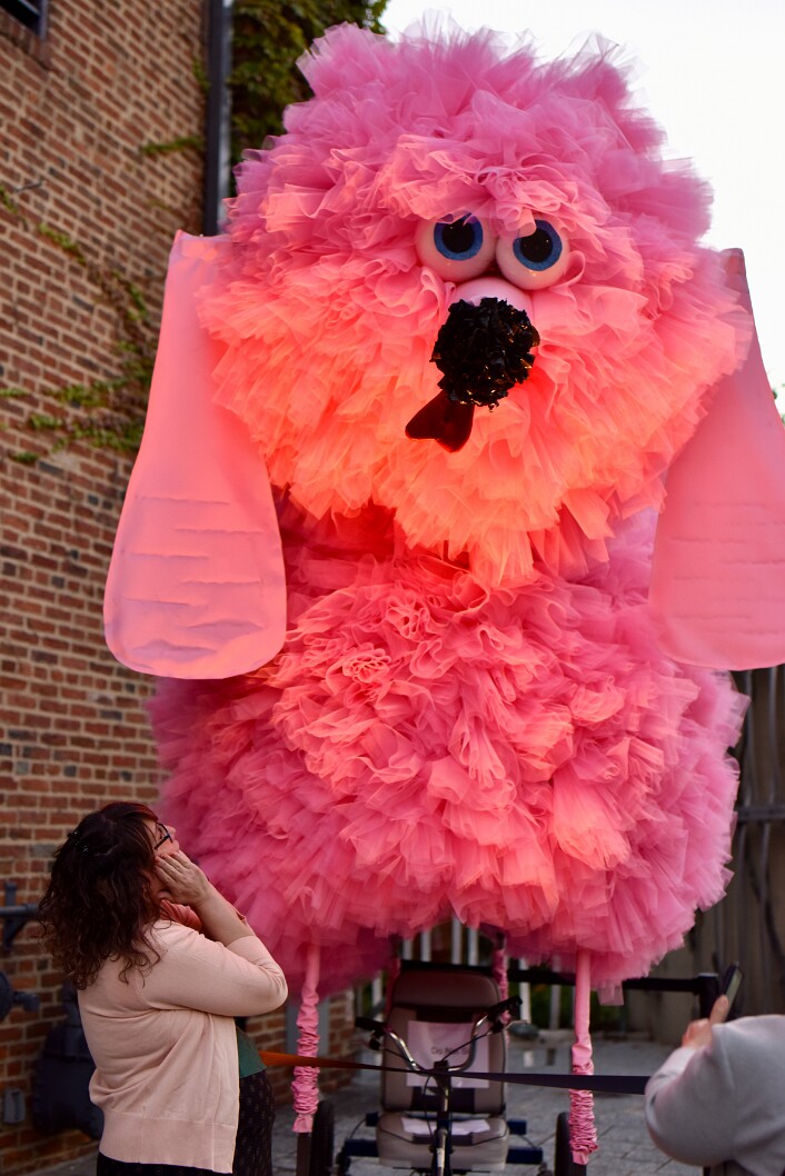 Marvel at Fifis Majesty