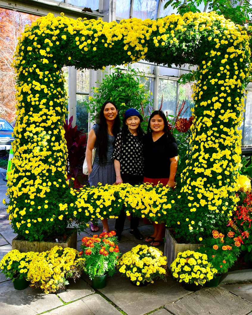 Surrounded by Chrysanthemums 3