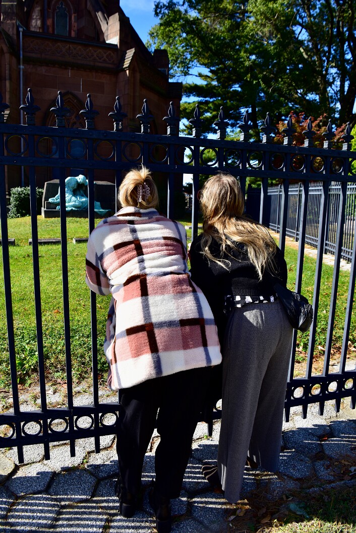 Staring Through the Fence