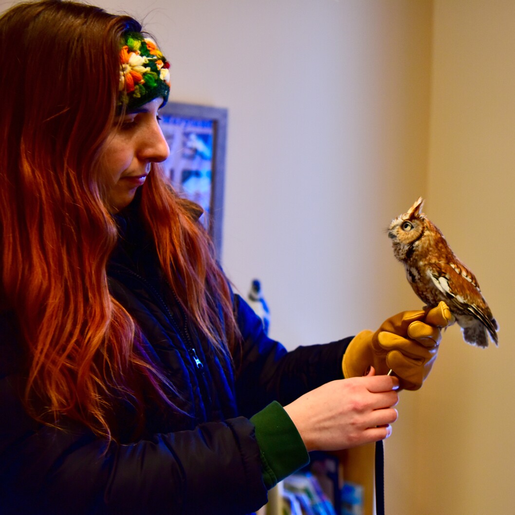 Holding the Cutest Raptor