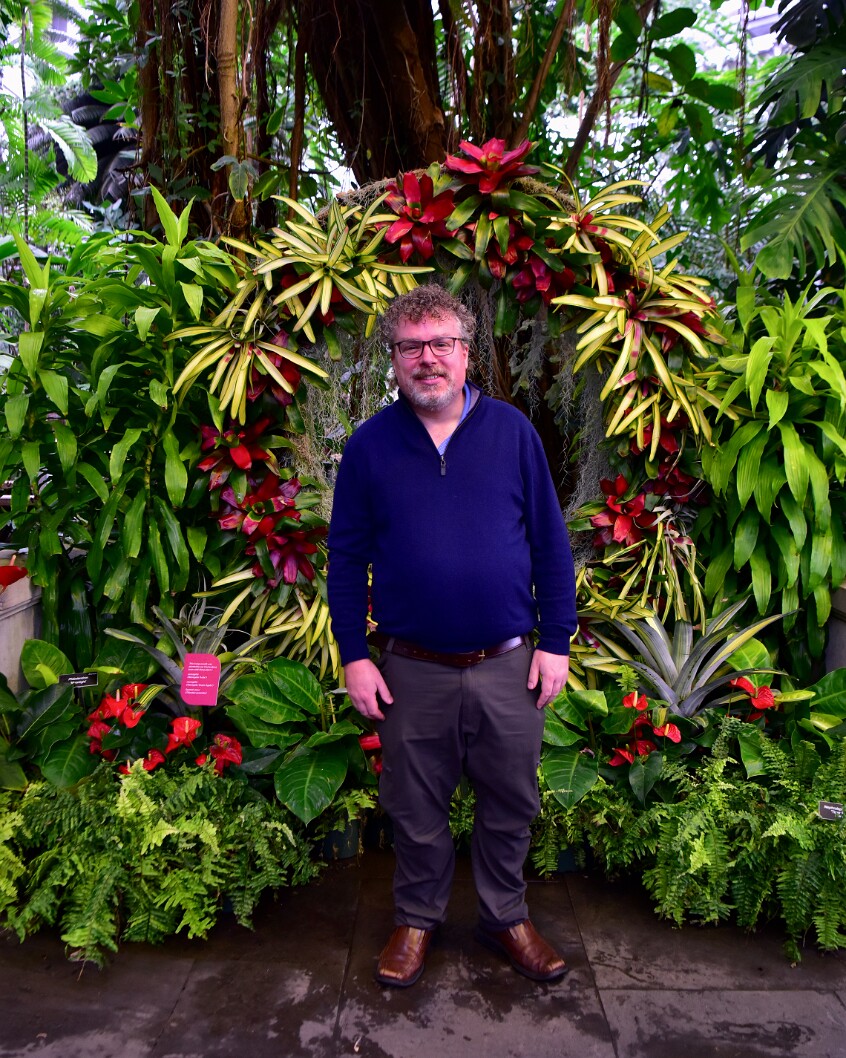 Before a Festive Ring 1