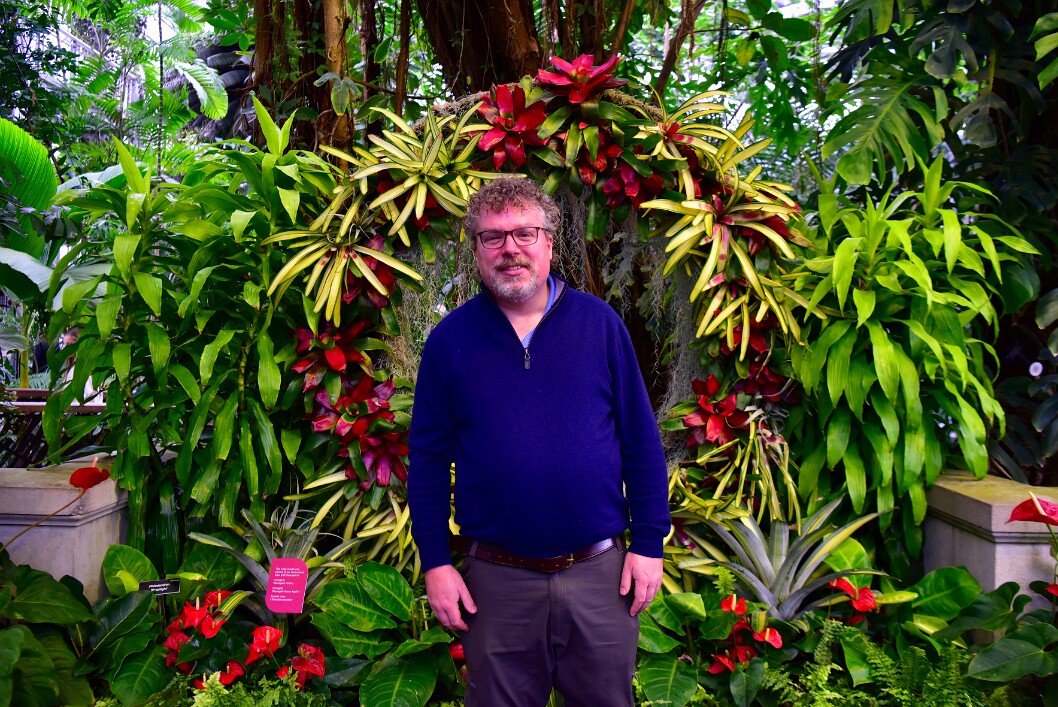 Before a Festive Ring 2