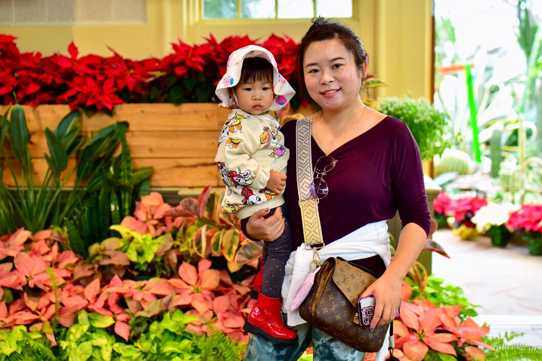 Fabulous Teacher and Fashionable Child Among the Poinsettias 1