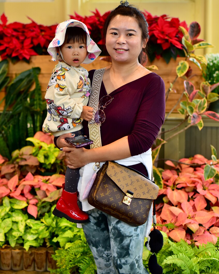 Fabulous Teacher and Fashionable Child Among the Poinsettias 2