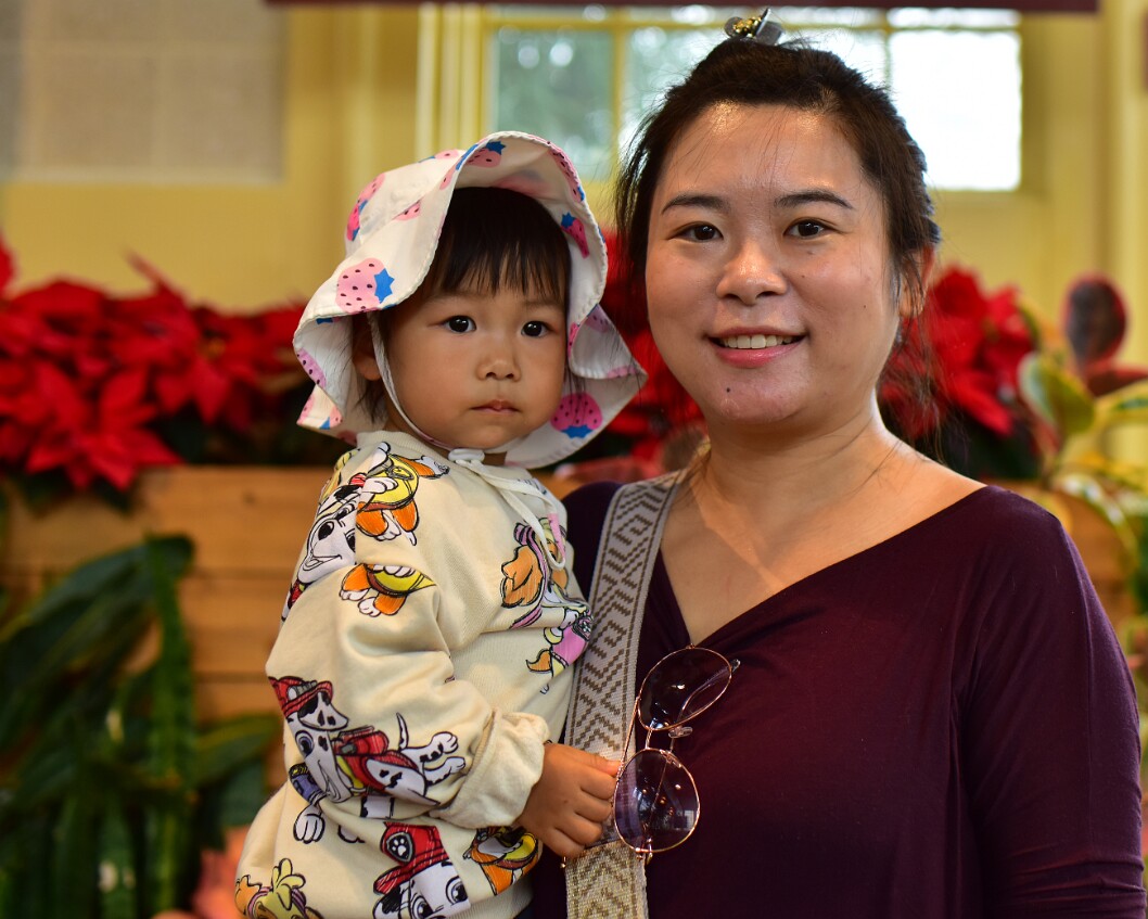 Fabulous Teacher and Fashionable Child Among the Poinsettias 3
