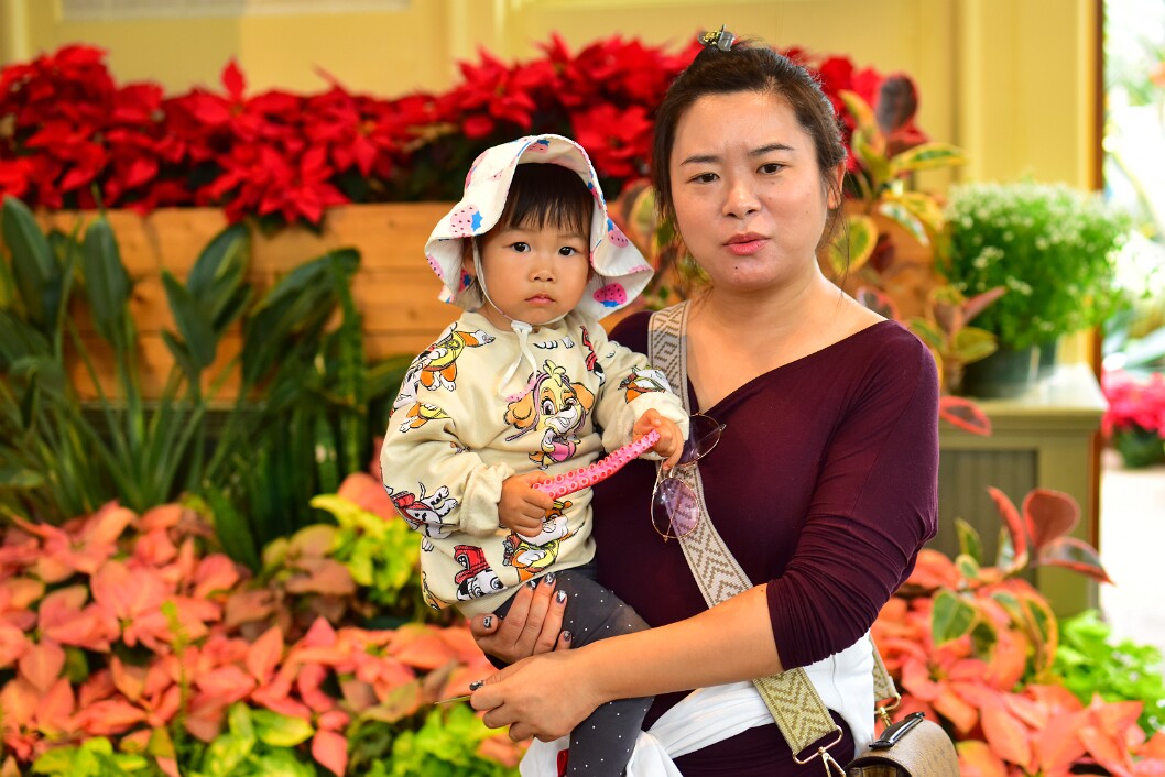 Fabulous Teacher and Fashionable Child Among the Poinsettias 4