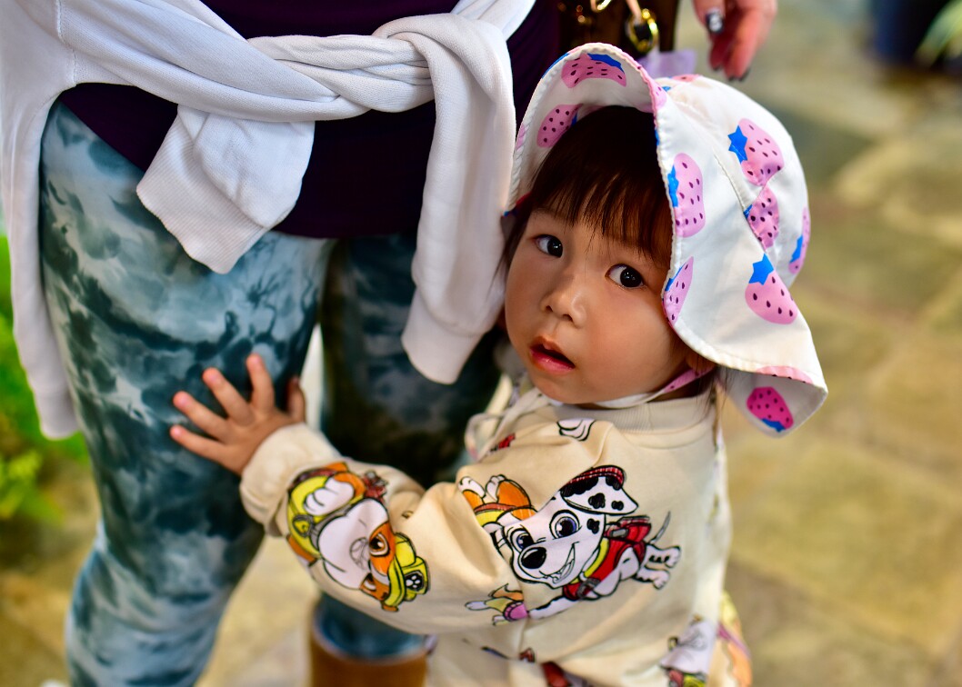 Strawberries and Paw Patrol