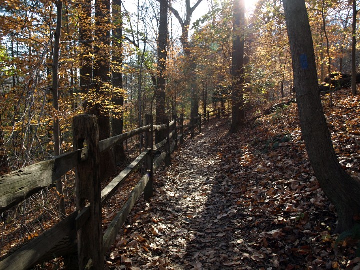 Wooden Fence, Path and Bright Sunlight Wooden Fence, Path and Bright Sunlight