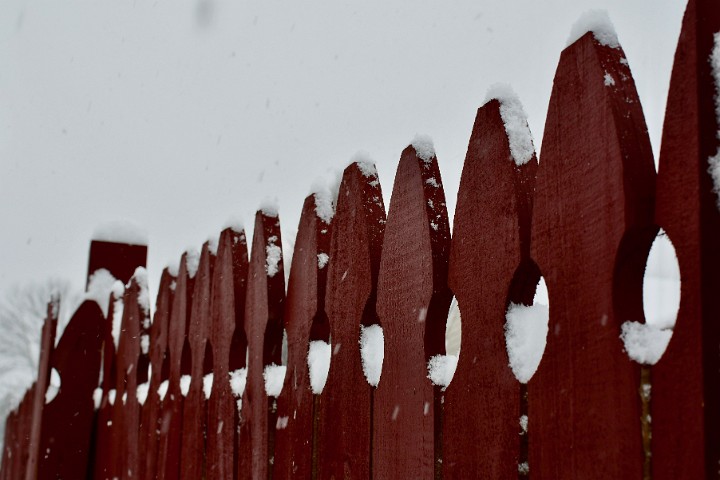 Snow Nestles on the Fence