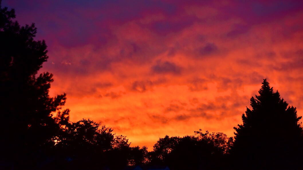 Otherwordly on Earth