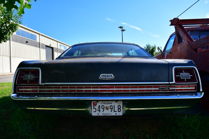 Rear View of the Ford LTD