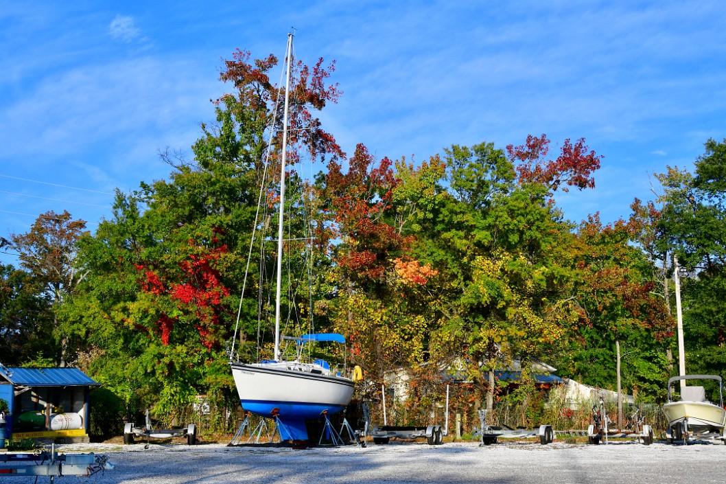 Fall Colors and a Blue and White Sailboat