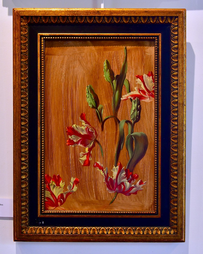 Parrot Tulip Studies by Frank Redelius
