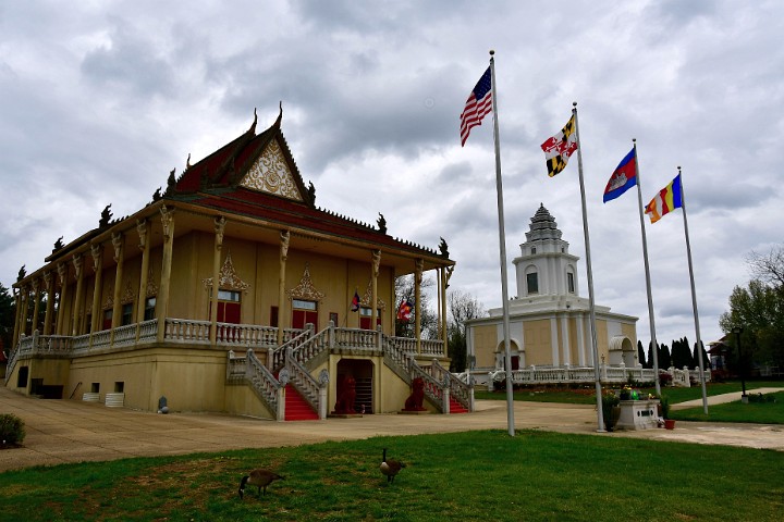 Flags Up in Front of the Gorgeous Temple