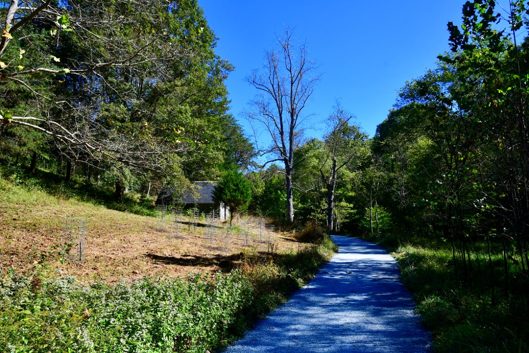 Path Through