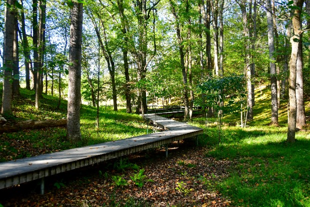 Boardwalk