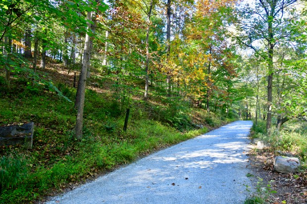 Woodland Trail