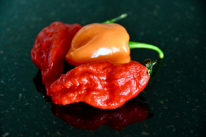Delicious Peppers