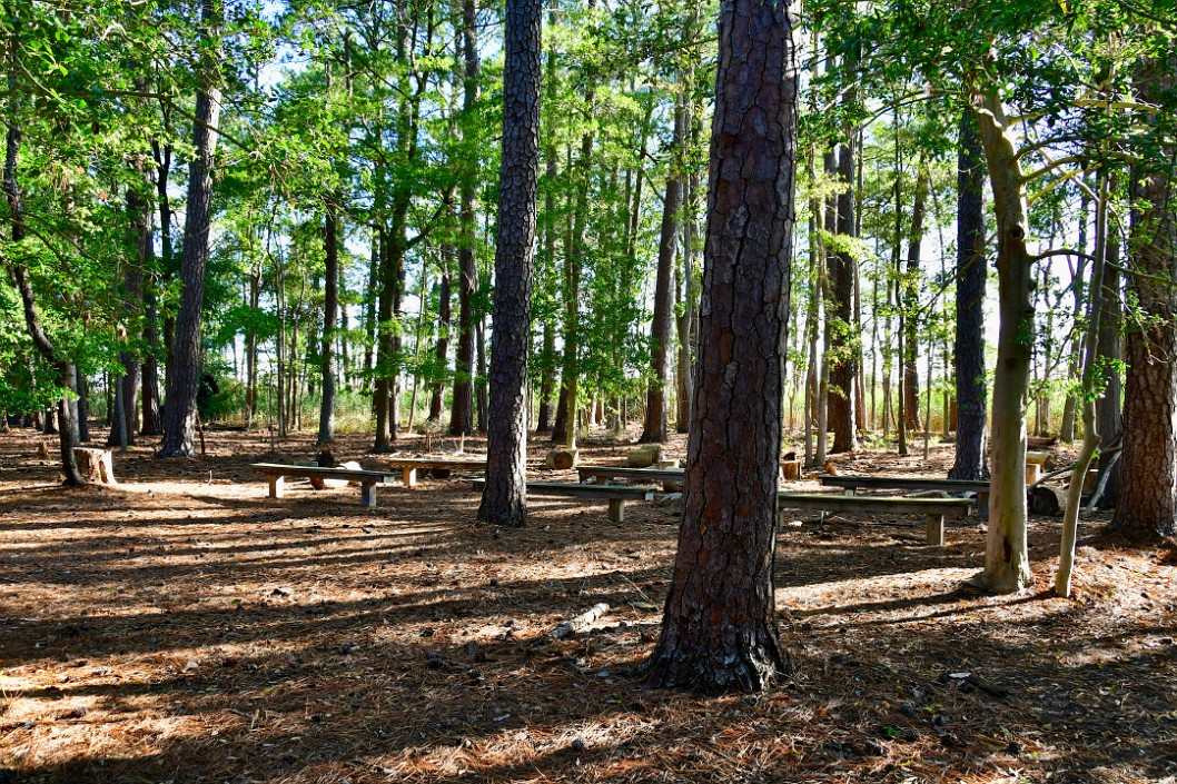 Benches in the Woods